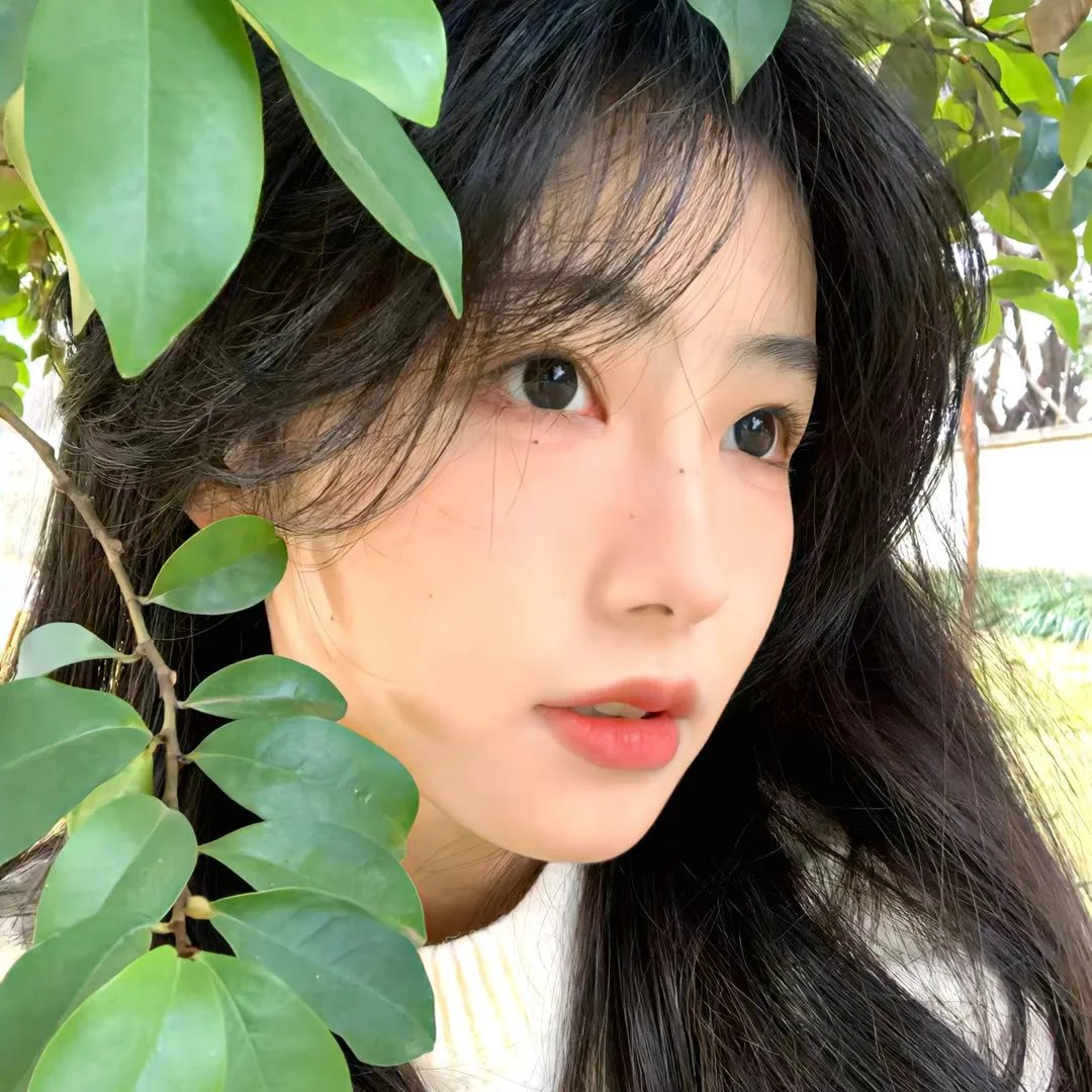 现在开始作秀时间